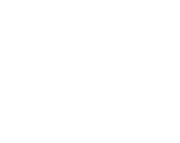 Abacus Capital Real Estate Investment Management and Strategy in the Southeastern US